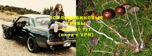 бутират Магас