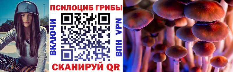 Купить  Куровское  Псилоцибиновые грибы MAGIC MUSHROOMS 
