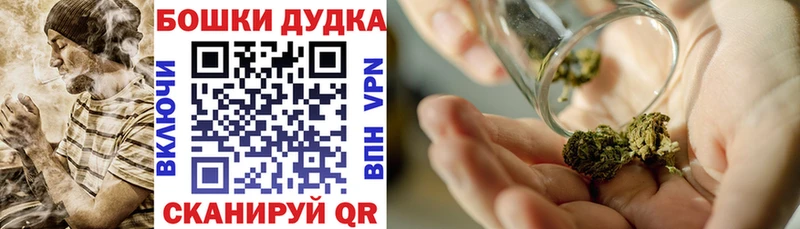 Купить  Куровское  Конопля ГИДРОПОН 